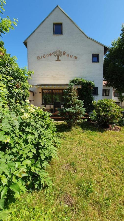 Gasthof Gruener Baum Kirchberg am Wechsel Esterno foto