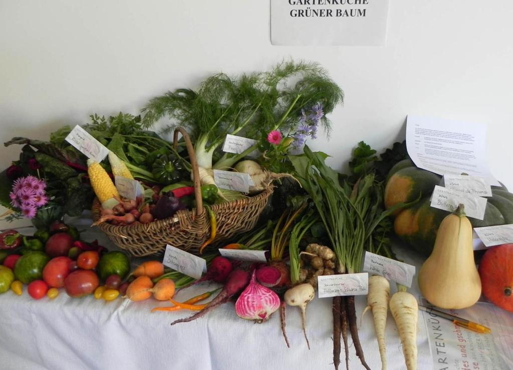 Gasthof Gruener Baum Kirchberg am Wechsel Esterno foto