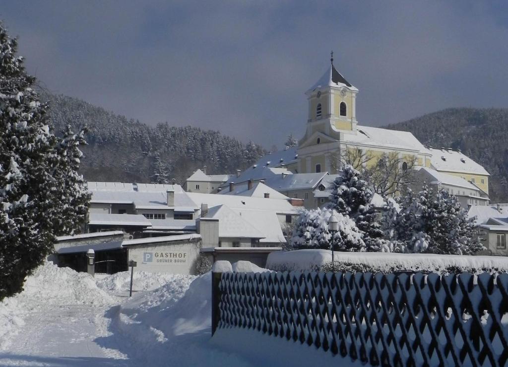 Gasthof Gruener Baum Kirchberg am Wechsel Esterno foto