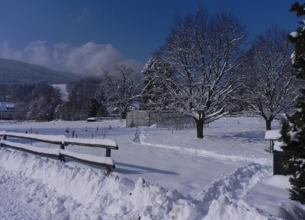 Gasthof Gruener Baum Kirchberg am Wechsel Esterno foto