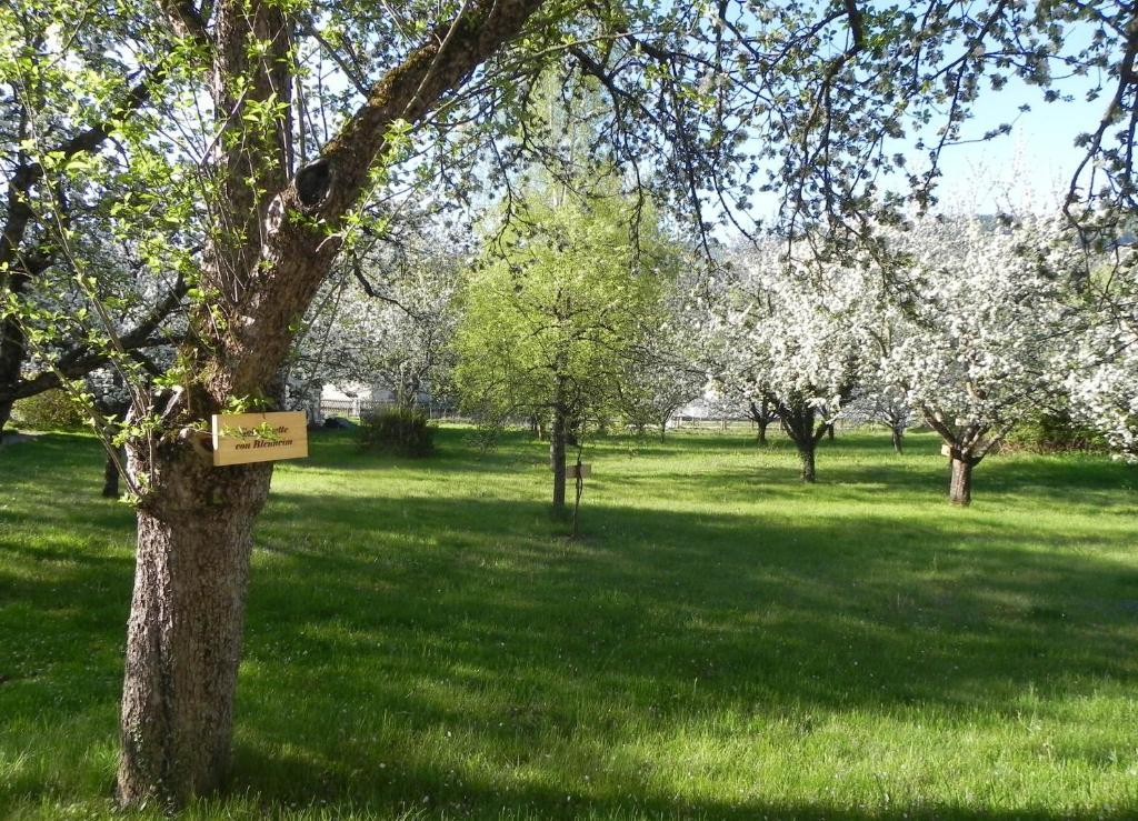 Gasthof Gruener Baum Kirchberg am Wechsel Esterno foto