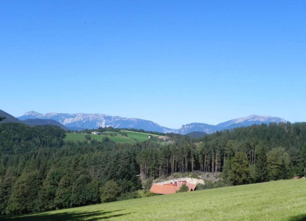 Gasthof Gruener Baum Kirchberg am Wechsel Esterno foto