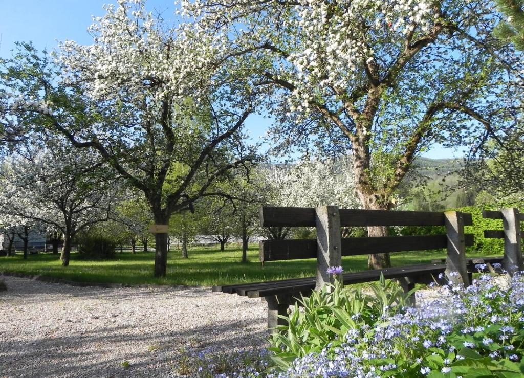 Gasthof Gruener Baum Kirchberg am Wechsel Esterno foto